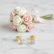 10k Solid Gold 0.3 Ct Diamond Option Stud Earrings-Black Diamonds New York