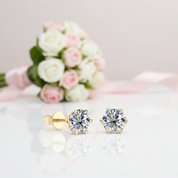 10k Solid Gold 1.0 Ct Round Cut Diamond Option Stud Earrings-Black Diamonds New York