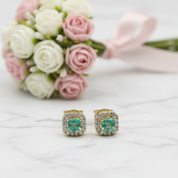 14k Yellow Gold Emerald with Diamond Option Halo Stud Earrings-Black Diamonds New York