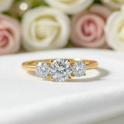 14k White Gold Three-Stone 0.5 Carat Lab Grown Diamond Engagement Ring-Black Diamonds New York