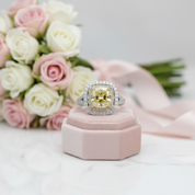18k White Gold 1.0 Ct Yellow Cushion Cut Diamond Option Engagement Ring-Black Diamonds New York