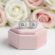 1ct Diamond 4 Claws Stud Earrings-Black Diamonds New York