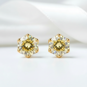 2.0 Ct Round Diamond 6 Prong Stud Earrings-Black Diamonds New York