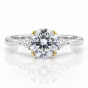 3.0 Ct Round Cut Crackling Diamond Option Engagement Ring-Black Diamonds New York