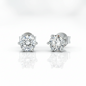 6 Prong Solitaire Diamond Option Earrings-Black Diamonds New York