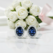 Oval Cut Blue Sapphire Stud Earrings-Black Diamonds New York