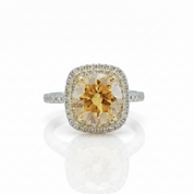 Round Cut 3.0 Ct Yellow Diamond Option Double Halo Engagement Ring-Black Diamonds New York