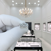 Round Diamond Cow Head Stud Earrings-Black Diamonds New York