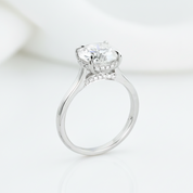 14k White Gold 2ct 8mm Diamond Option Hidden Halo Engagement Ring-Black Diamonds New York