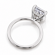 2.5ct Princess Cut Diamond Option Engagement Ring-Black Diamonds New York