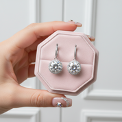 Round Cut Diamond Option Earrings-Black Diamonds New York