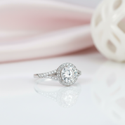 Round Split Shank Halo Diamond Option Engagement Ring-Black Diamonds New York