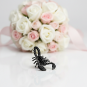 A clear acrylic keepsake box with gold leaf patterns and gold snap buttons, featuring a black scorpion charm and a black card inside, displayed on a white background with decorative text cards.