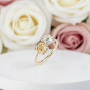 Double Stones Design Cushion & Round Cut Engagement Ring-Black Diamonds New York