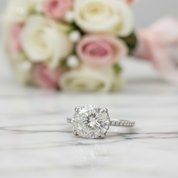 Elegant Oval Cut Diamond Option Engagement Ring-Black Diamonds New York