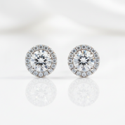 Halo Round Sparkle Women's Stud Earrings-Black Diamonds New York