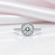 Pave Diamond Option Halo Engagement Ring-Black Diamonds New York