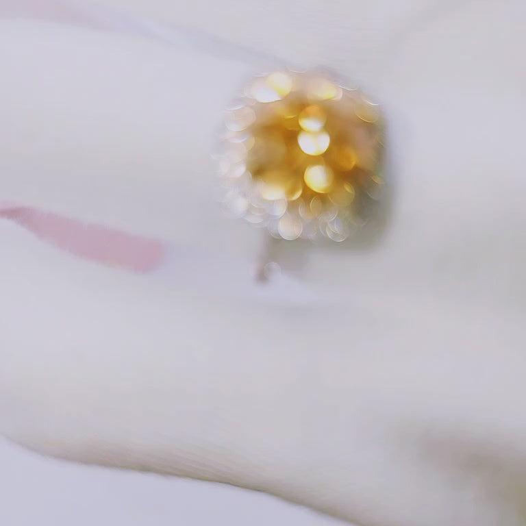 Round Cut 3.0 Ct Yellow Diamond Option Double Halo Engagement Ring