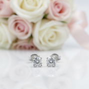 Round-cut Diamond Option 4 Claws Stud Earrings-Black Diamonds New York