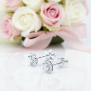 Four Prong Round Diamond Option Belle Dame Halo Earrings-Black Diamonds New York